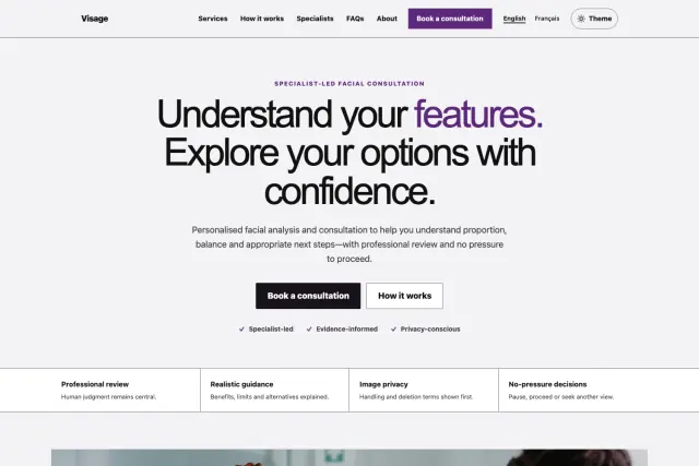 Preview of the Visage theme home page.
